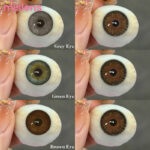 Buy Mislens Cleopatra Yearly Lenses Wholesale